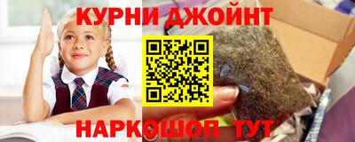spice Кандалакша