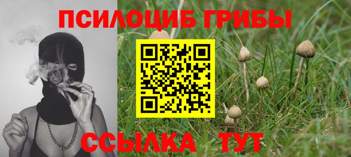 Псилоцибиновые грибы ЛСД Канаш