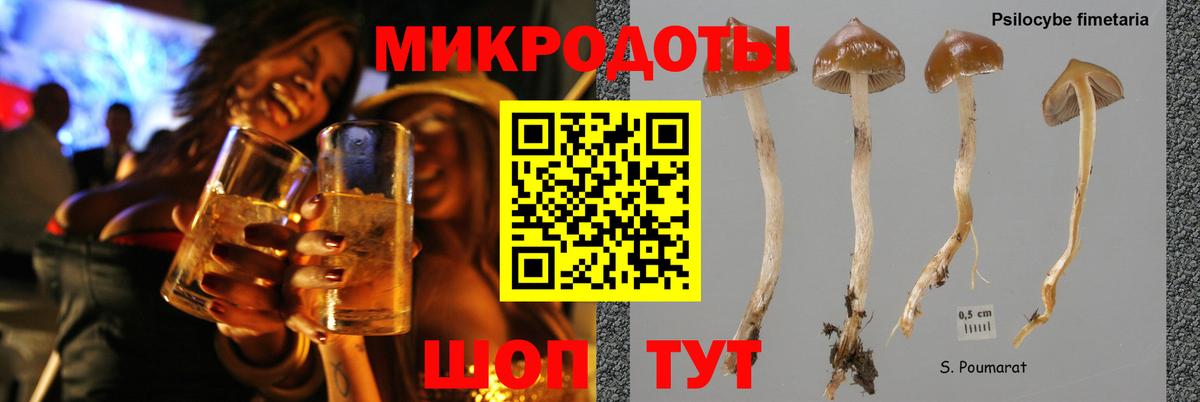 Канаш  хочу наркоту  Вход с VPN  Галлюциногенные грибы прущие грибы 